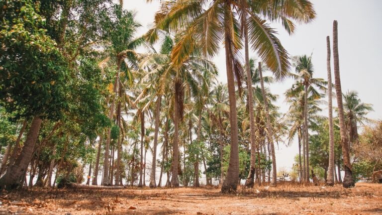 Pulau Seribu: Pengalaman ke Pulau Tidung Besar dan Kecil dari Jakarta