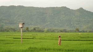 3 Days Yogyakarta Itinerary: Places to Eat and Capture Contents